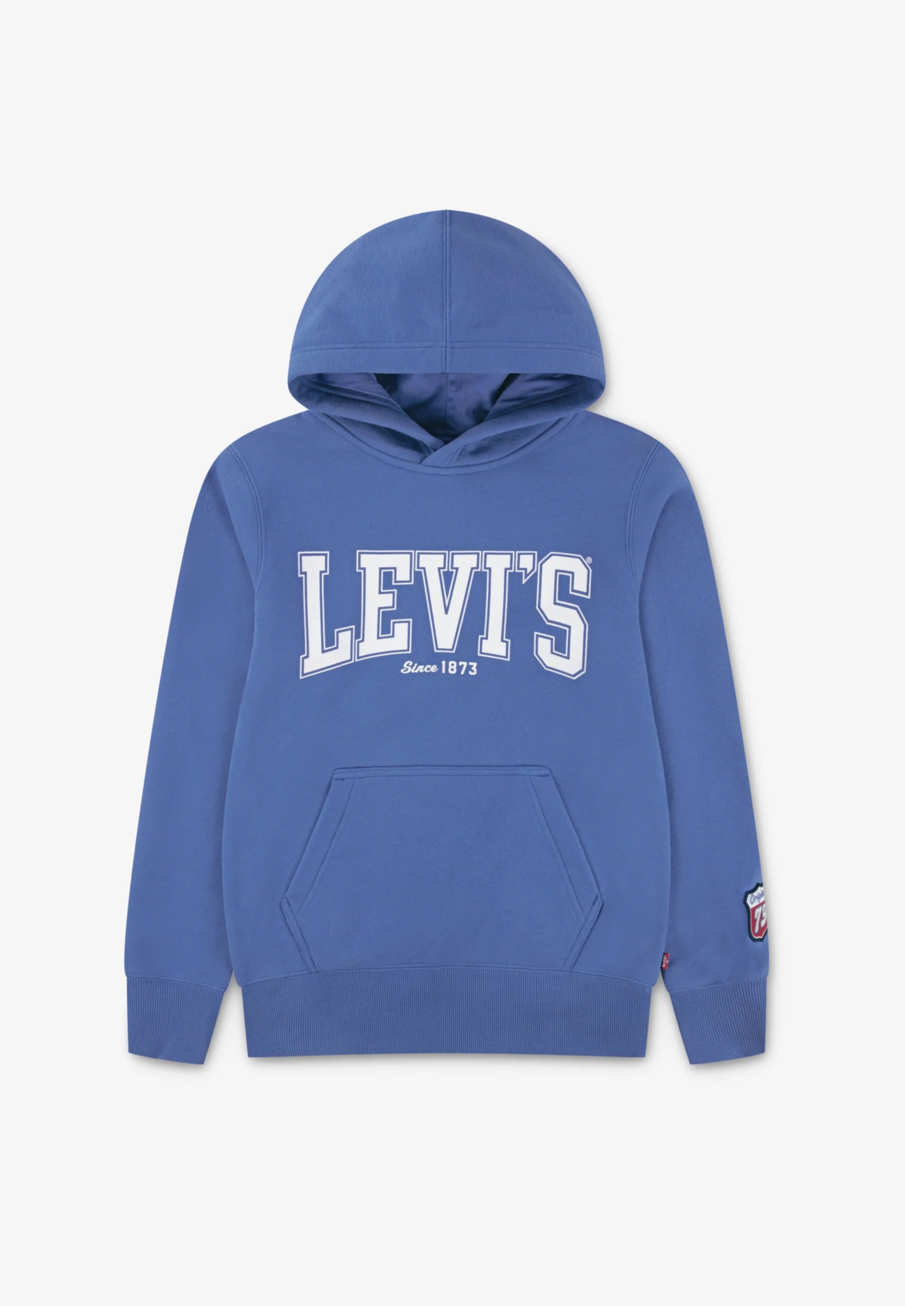 5 - Levi's kids the great highway hoodie Levi's kids star sapphire